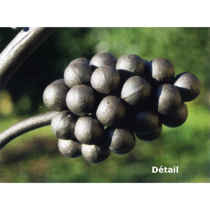Bout de branche vigne feuilles et grappes longueur 800x160mm