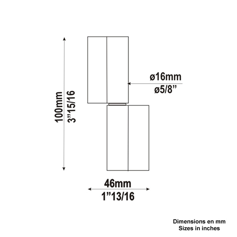 Gond paumelle 100mm avec  16mm extrieur  souder sur plats larges