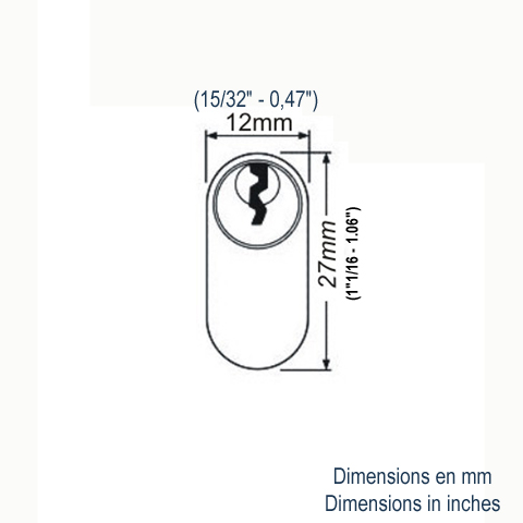 Cylindre ovale 30+30mm en acier zingu avec clefs