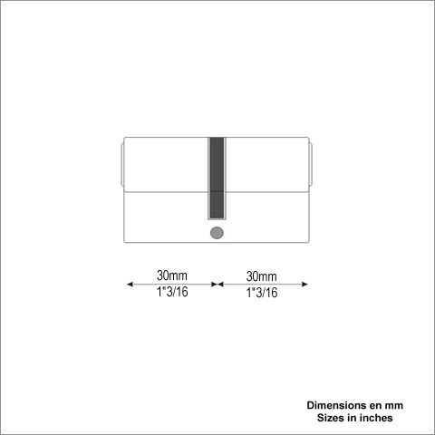 Cylindre europen 30+30mm en acier bichromat livr avec 3 clefs