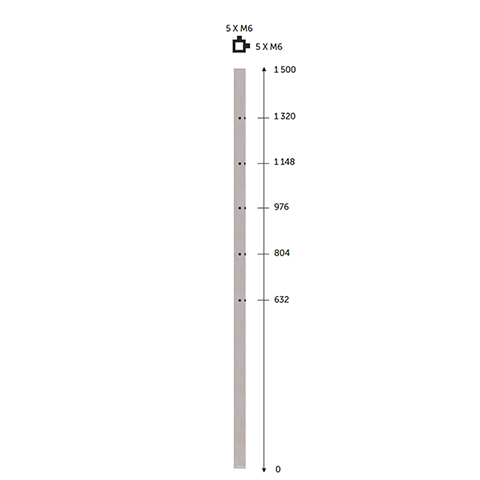 Poteau 40x40mm d'angle  l'anglaise taraud montage cble INOX316 IN2140 Poteaux garde-corps ou escaliers Poteaux carrs acier inox 316 IN21401