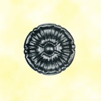 Rosace acier 55mm
