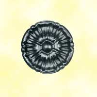 Rosace acier 90mm