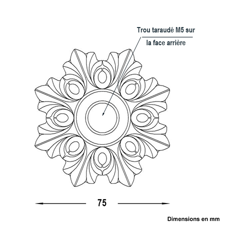 Rosace fonte 80mm FL3341 Palmette et rosace Rosace fonte FL3341