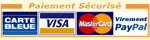Paiements en ligne parfaitement sécurisés