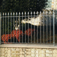 Grille de cloture ROMA 10 prte  poser