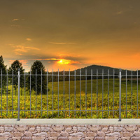 Grille cloture ITALIA 10 prte  poser