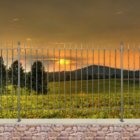 Grille cloture ITALIA 15 prte  poser