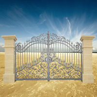 Portail DIANA 3,5m 16x16 ouverture manuelle