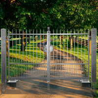 Portail DEMETRA 3m 14mm structure motorisable