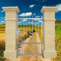 Portillon DEMETRA 1,1m 14mm sans poteaux